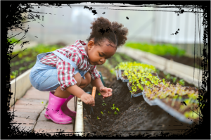 A young gardener planting seedlings in a raised bed
