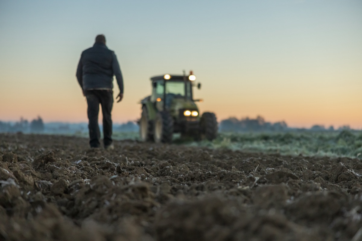 Farmer walking toward a tractor in a cultivated field