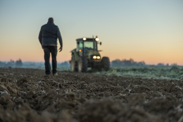 Farmer walking toward a tractor in a cultivated field