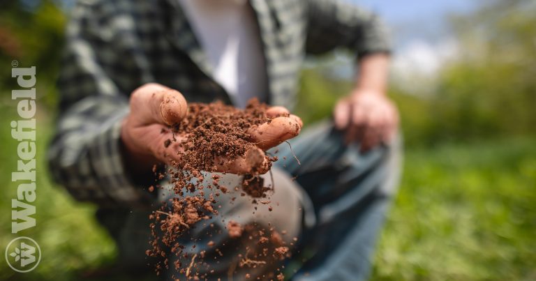 Does Biochar Add Nitrogen To The Soil