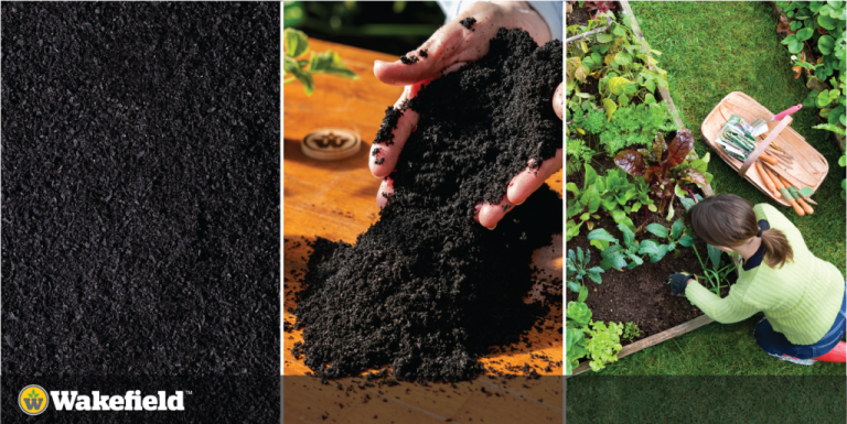 What Is Biochar?
