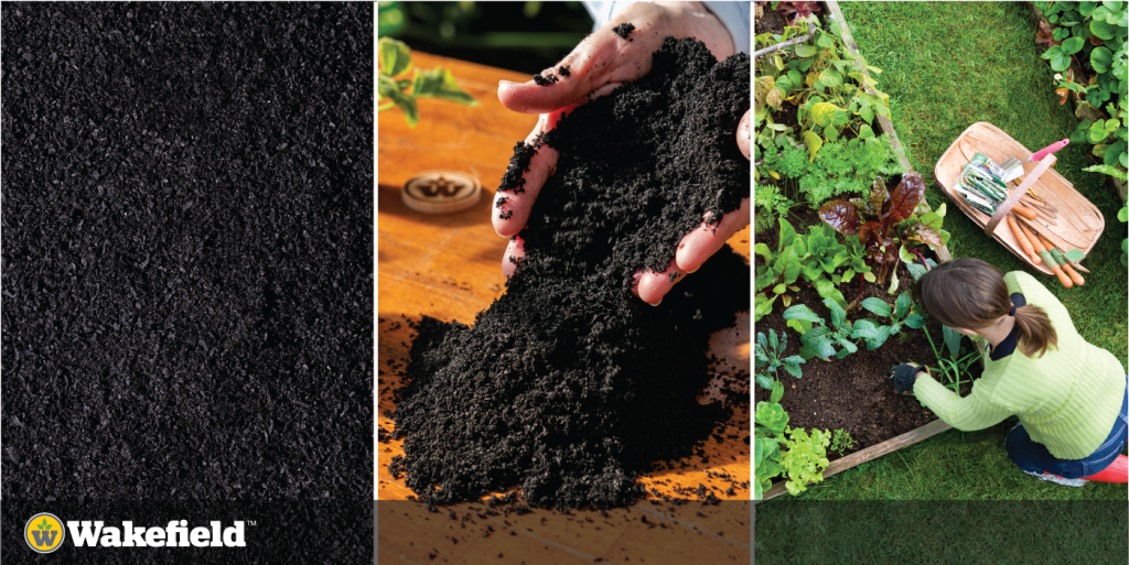 What Is Biochar?