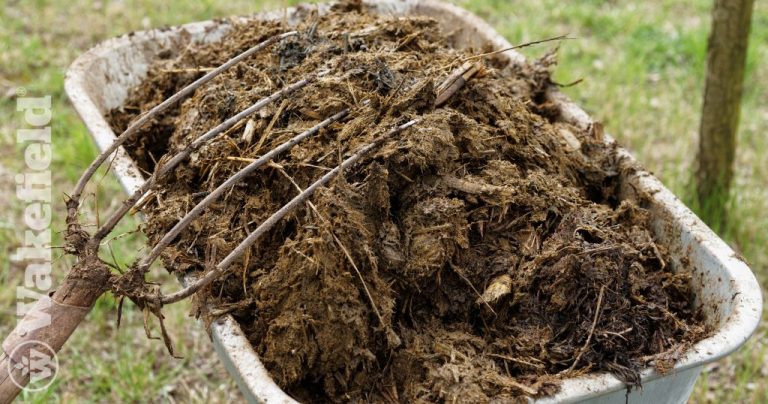 How To Use Biochar With Animal Manure