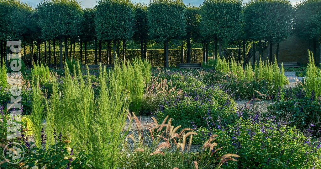 Can Biochar Burn Plants
