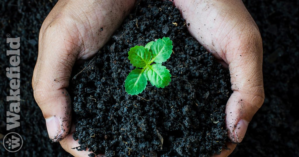 Is Biochar A Fertilizer