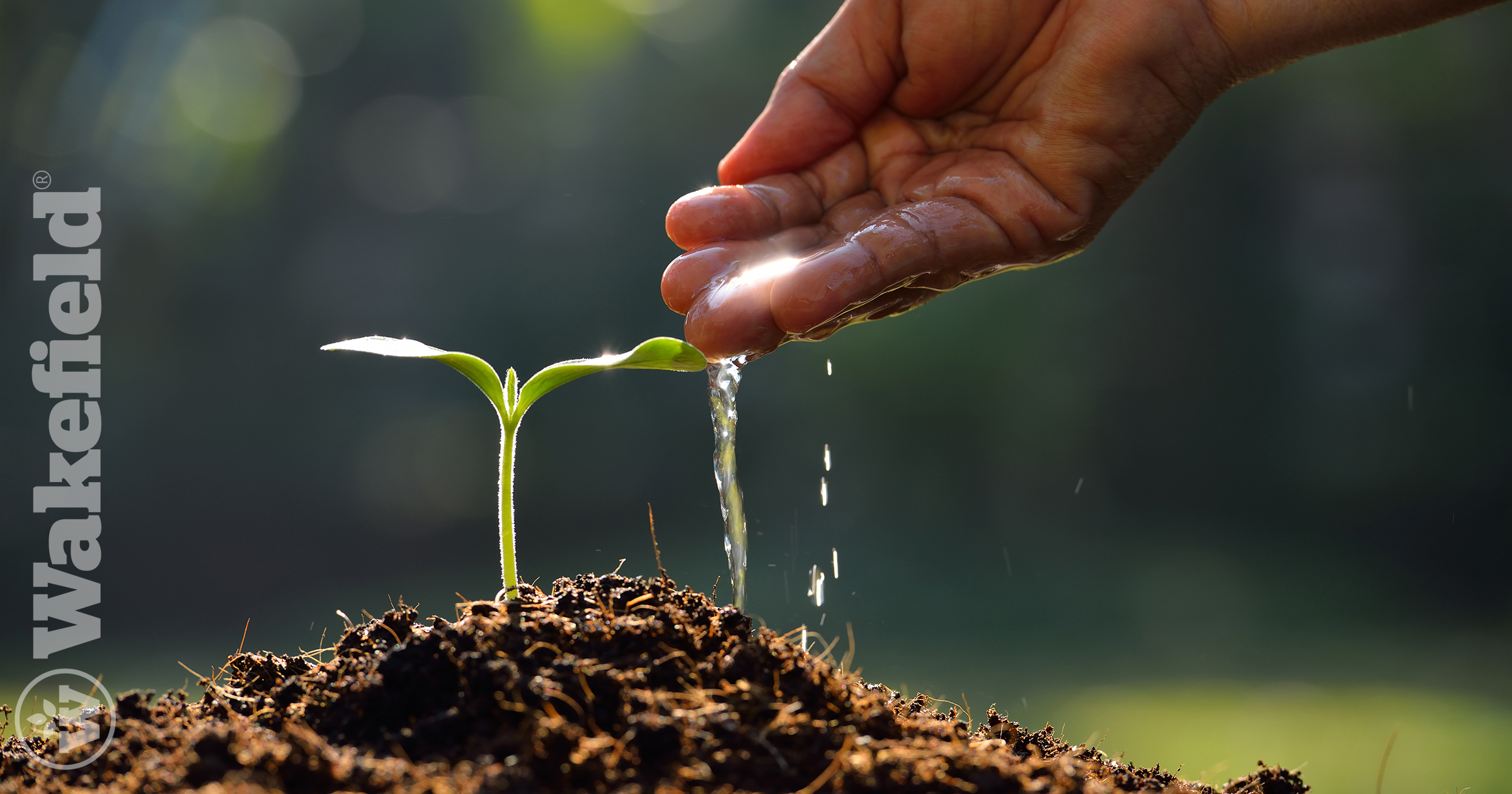 Carbon Sequestration With Biochar