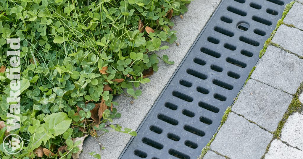Using Biochar To Remove E Coli From Stormwater