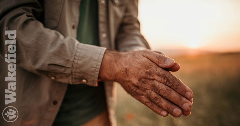 Is Biochar Easy To Clean Off Your Hands