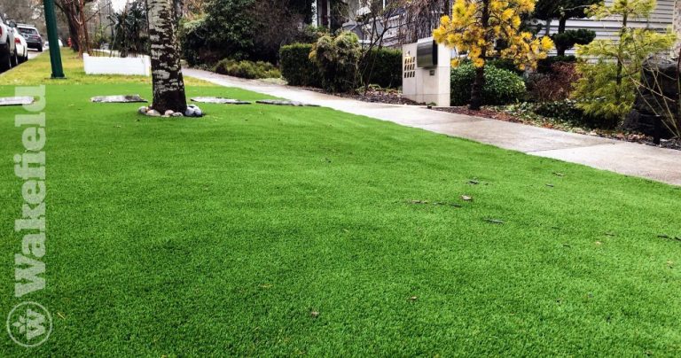 Does Biochar Help Your Grass Grow