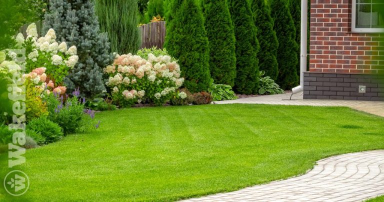 Using Biochar Lawn Care