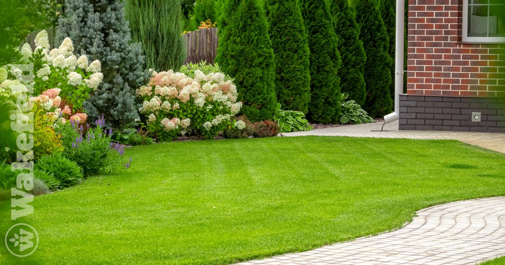 Using Biochar Lawn Care