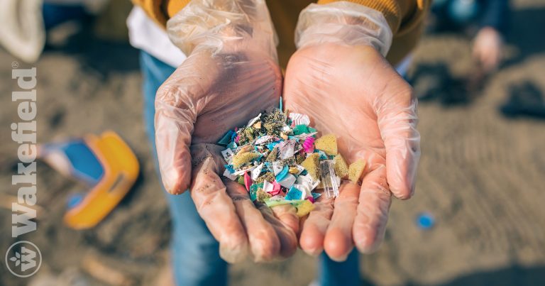 Role Of Biochar In Alleviating Microplastic Toxicity