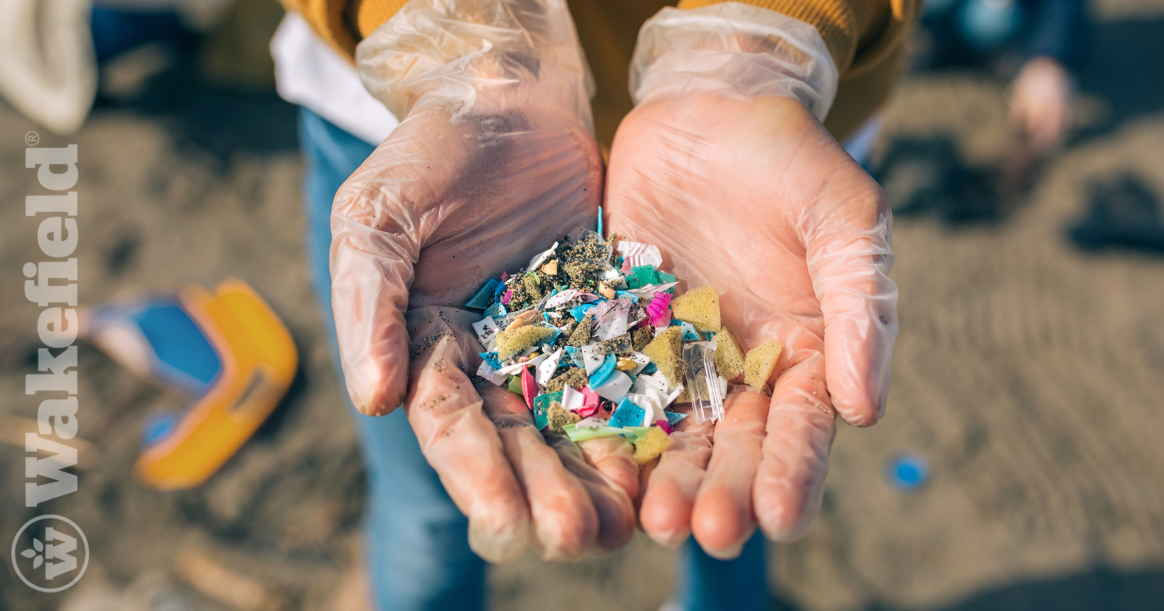 Role Of Biochar In Alleviating Microplastic Toxicity