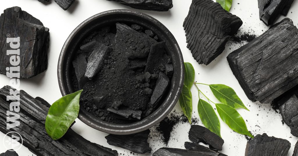 Can I Use Regular Charcoal As Biochar