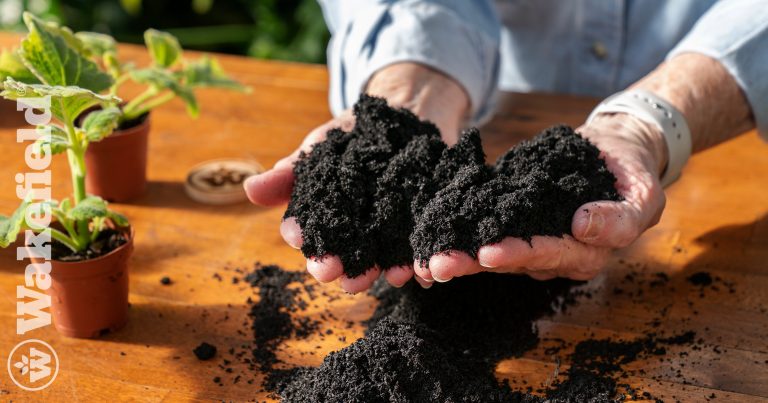Research Confirms Biochar Benefits