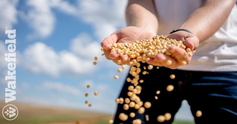 Biosolid Based Biochar With Soybean Yield