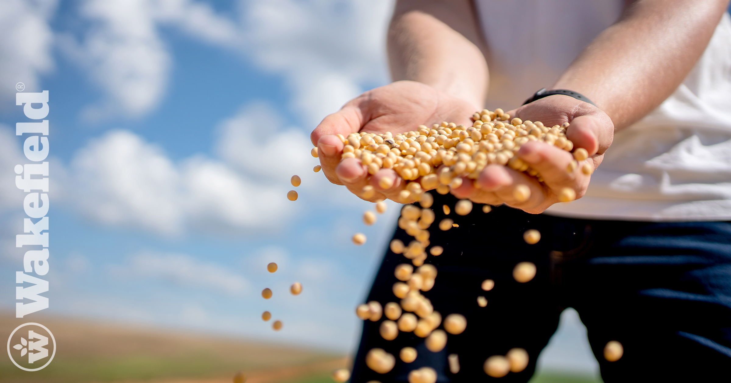 Biosolid Based Biochar With Soybean Yield