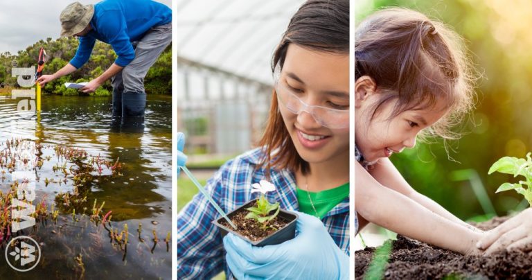Biochar Summary Of Benefits