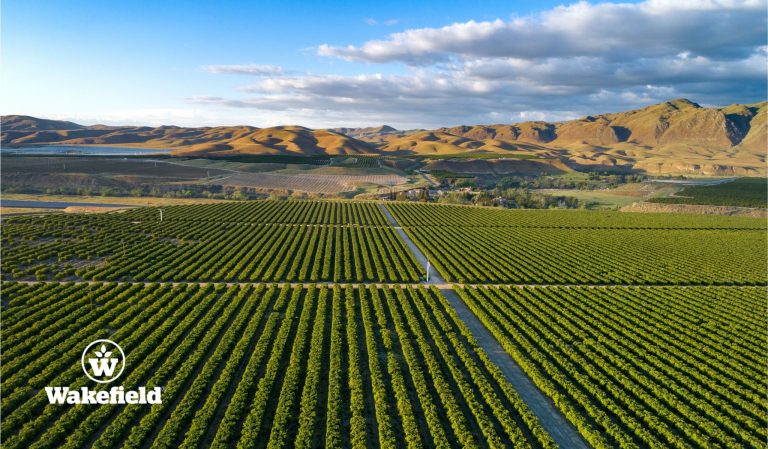 Impact Of Biochar On Water Retention Of Two Agricultural Soils