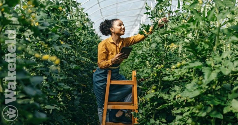 Sustainability In The Workplace Using Biochar