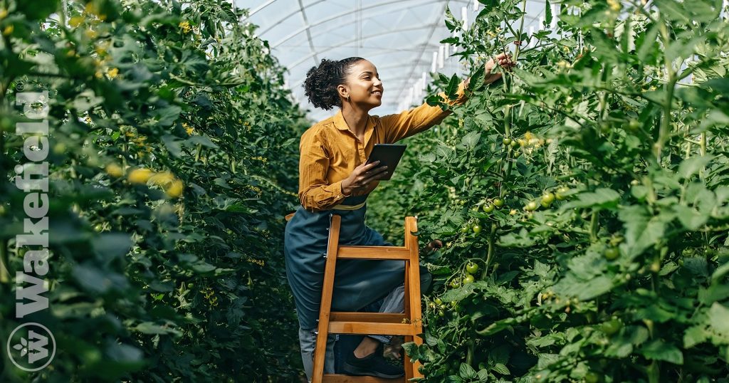 Sustainability In The Workplace Using Biochar