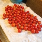Cherry tomatoes from the garden