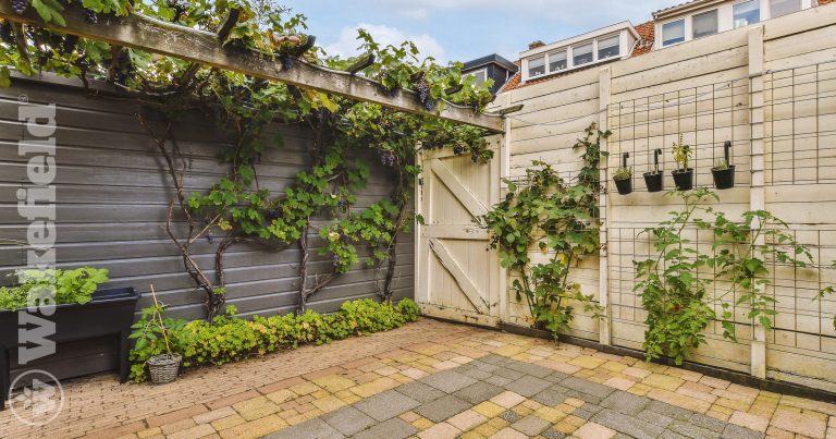 Global Change Can Start From Your Backyard