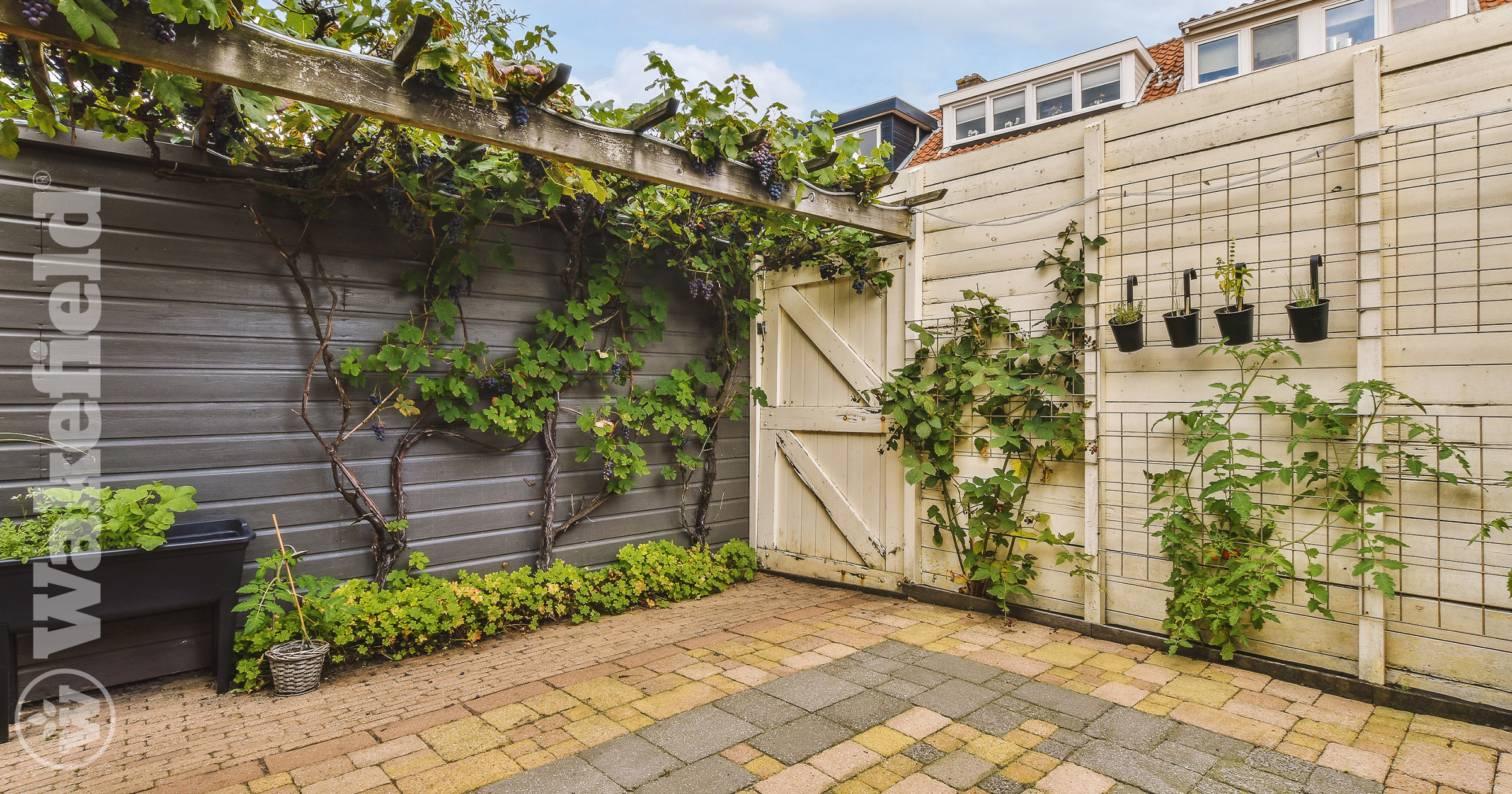 Global Change Can Start From Your Backyard