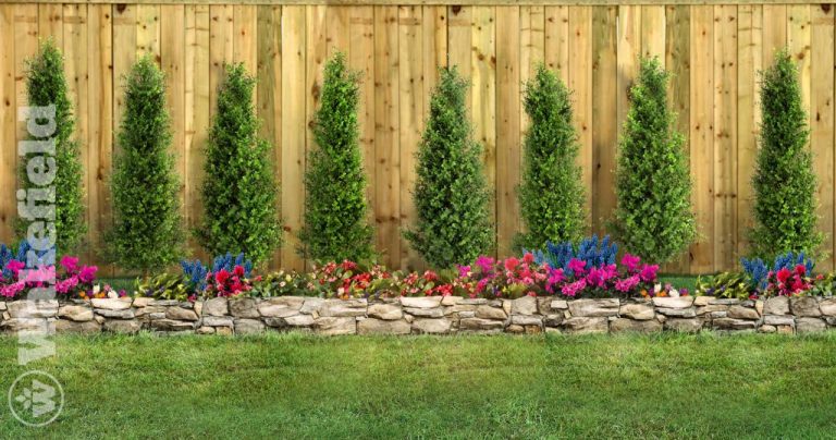 How To Use Biochar For Landscaping