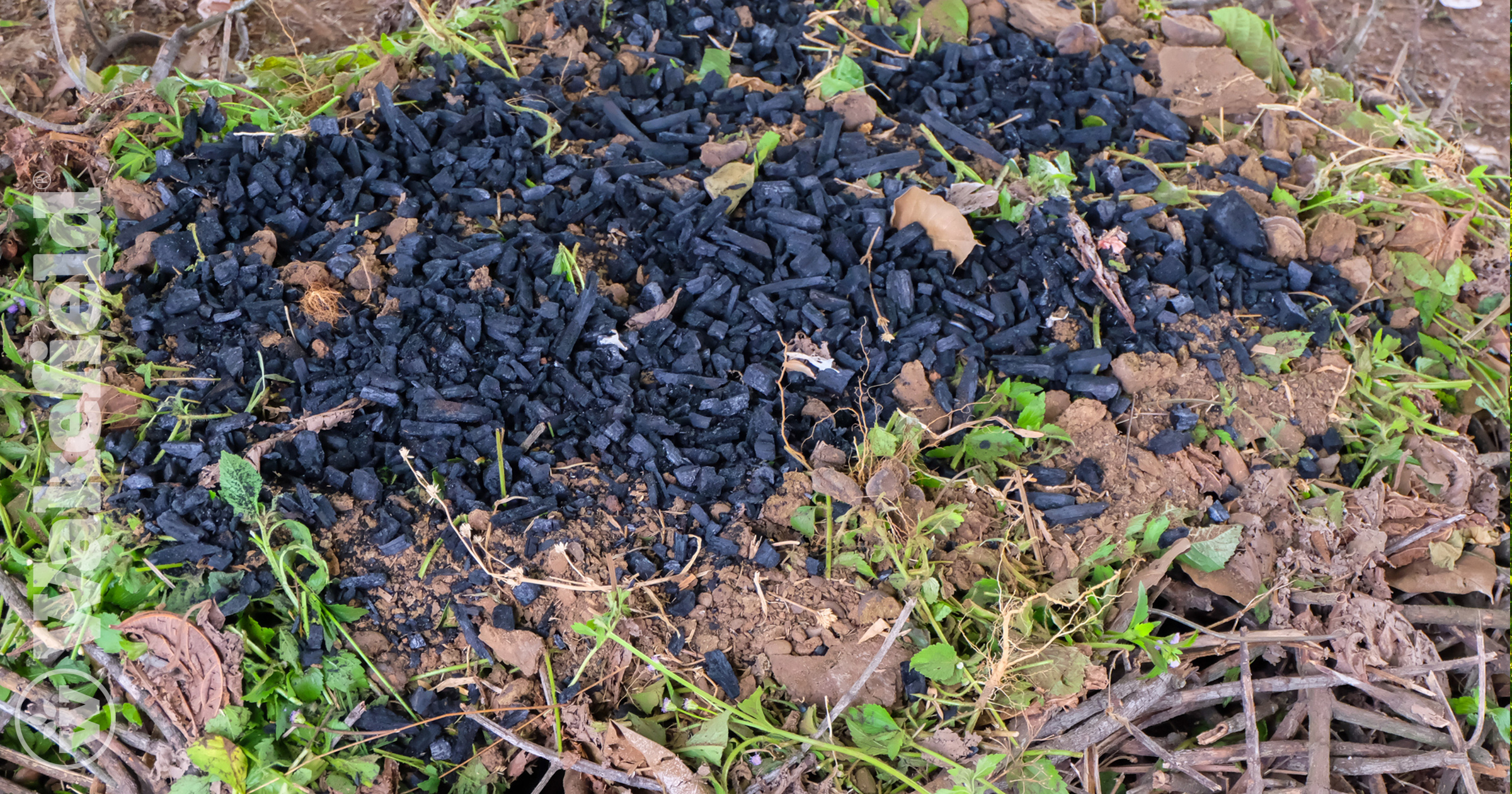 What Is The Difference Between Biochar And Compost