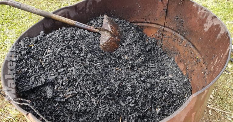 A Ted Talk Presented By Bob Lerner How Biochar Is Helping