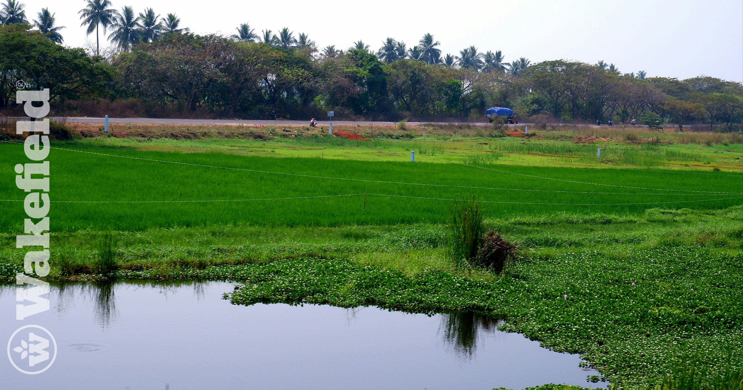 Biochars Role In Boosting Water Retention