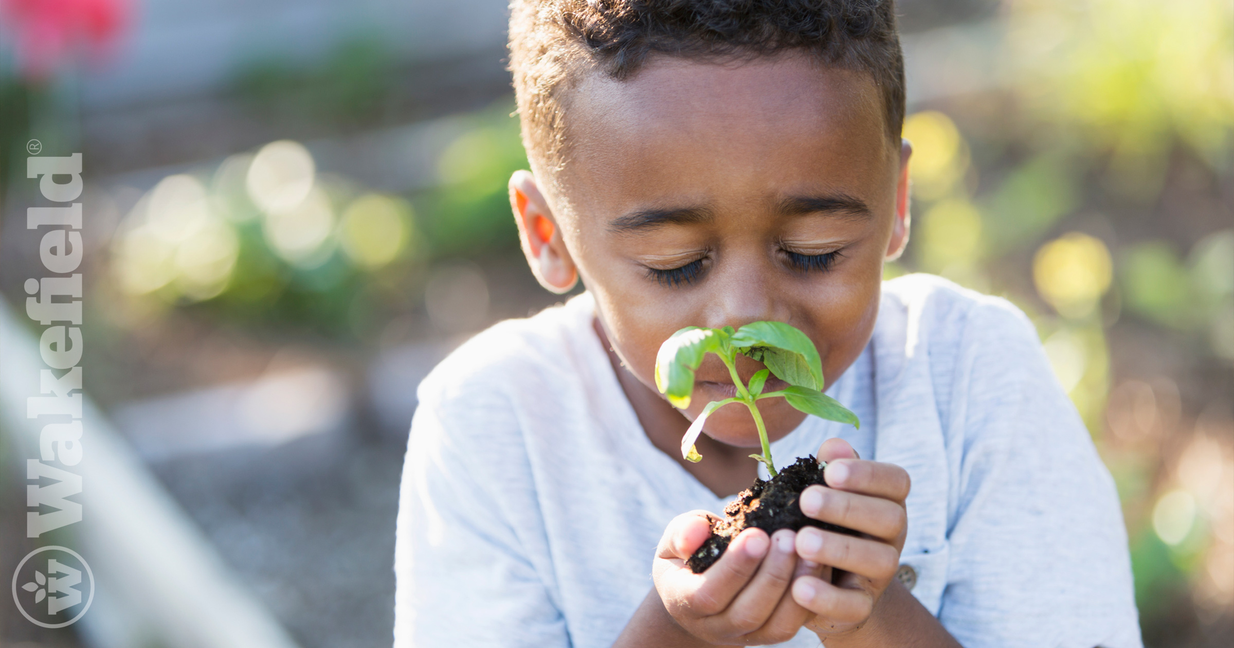 How Biochar Absorbs Odors