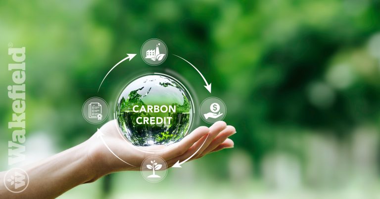 Understanding Biochar Carbon Credits