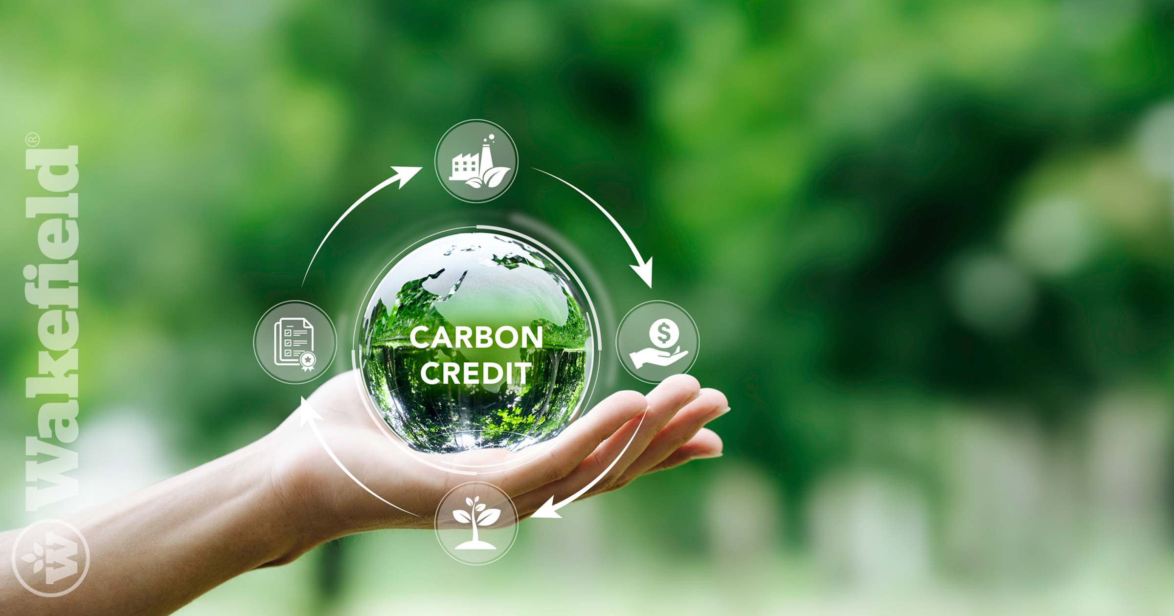 Understanding Biochar Carbon Credits