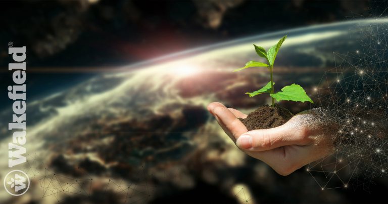 Biochar Carbon Credits Climate Mitigation