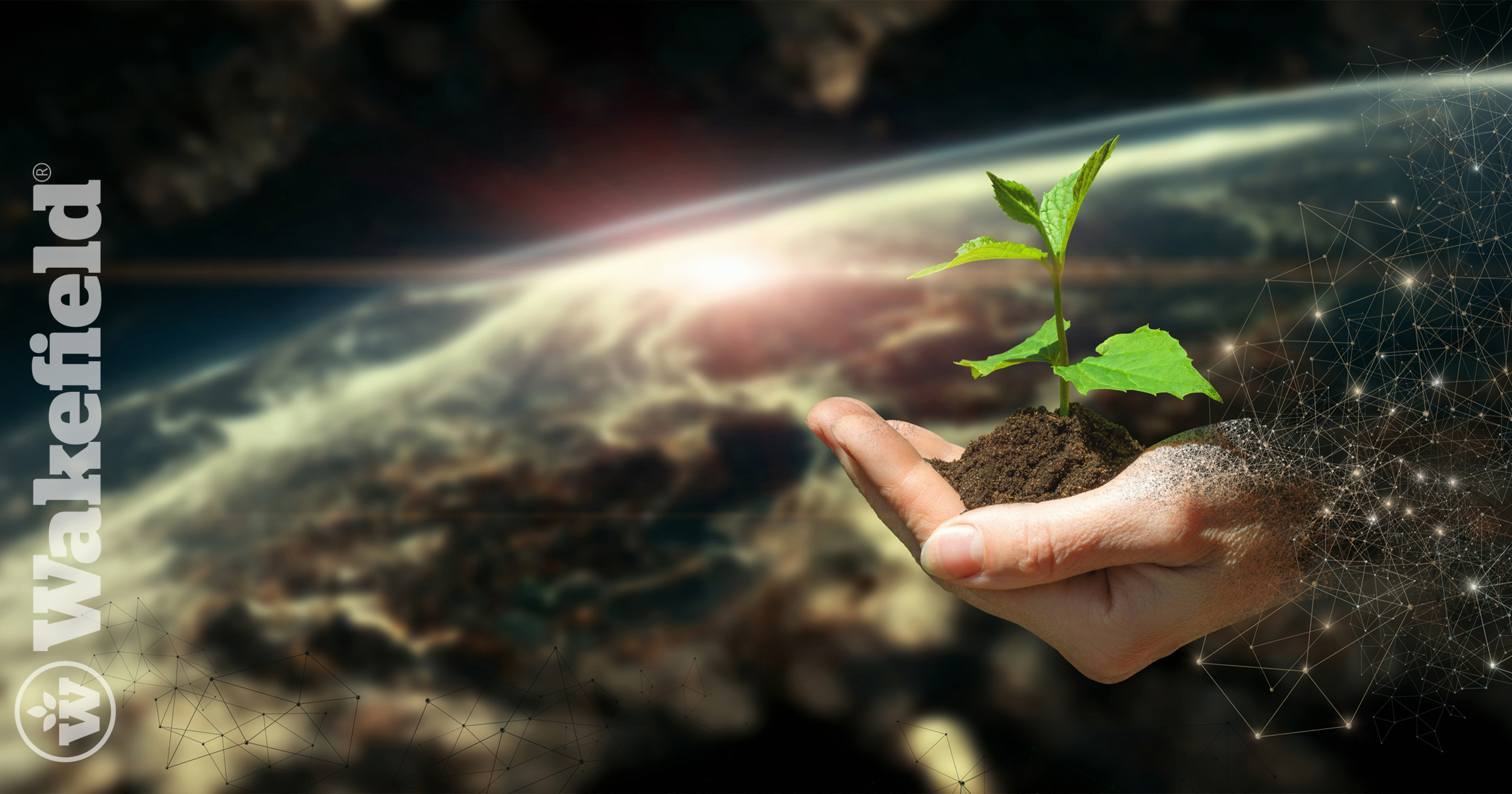 Biochar Carbon Credits Climate Mitigation