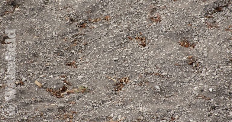 Chalky Soil Conditions