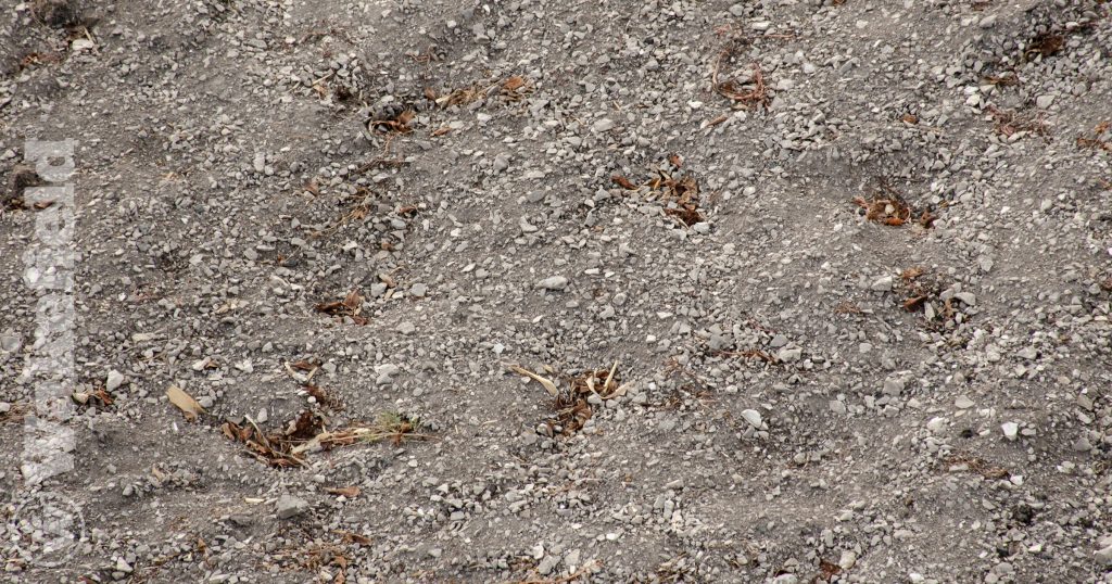 Chalky Soil Conditions