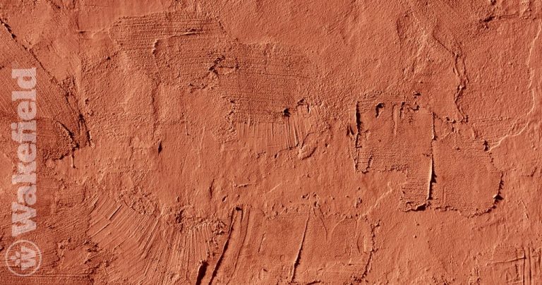Clay Soil Conditions