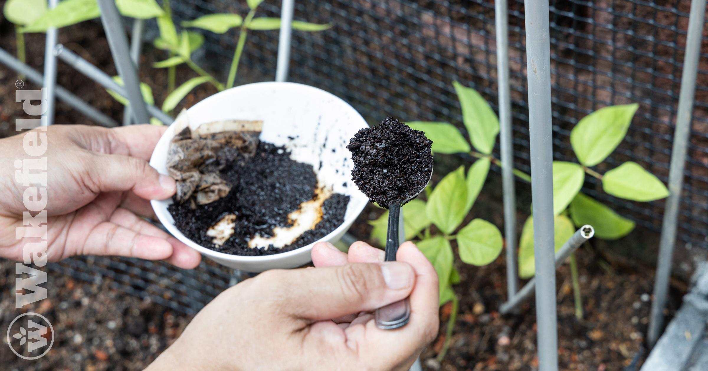 Biochar Applications In The Coffee Industry