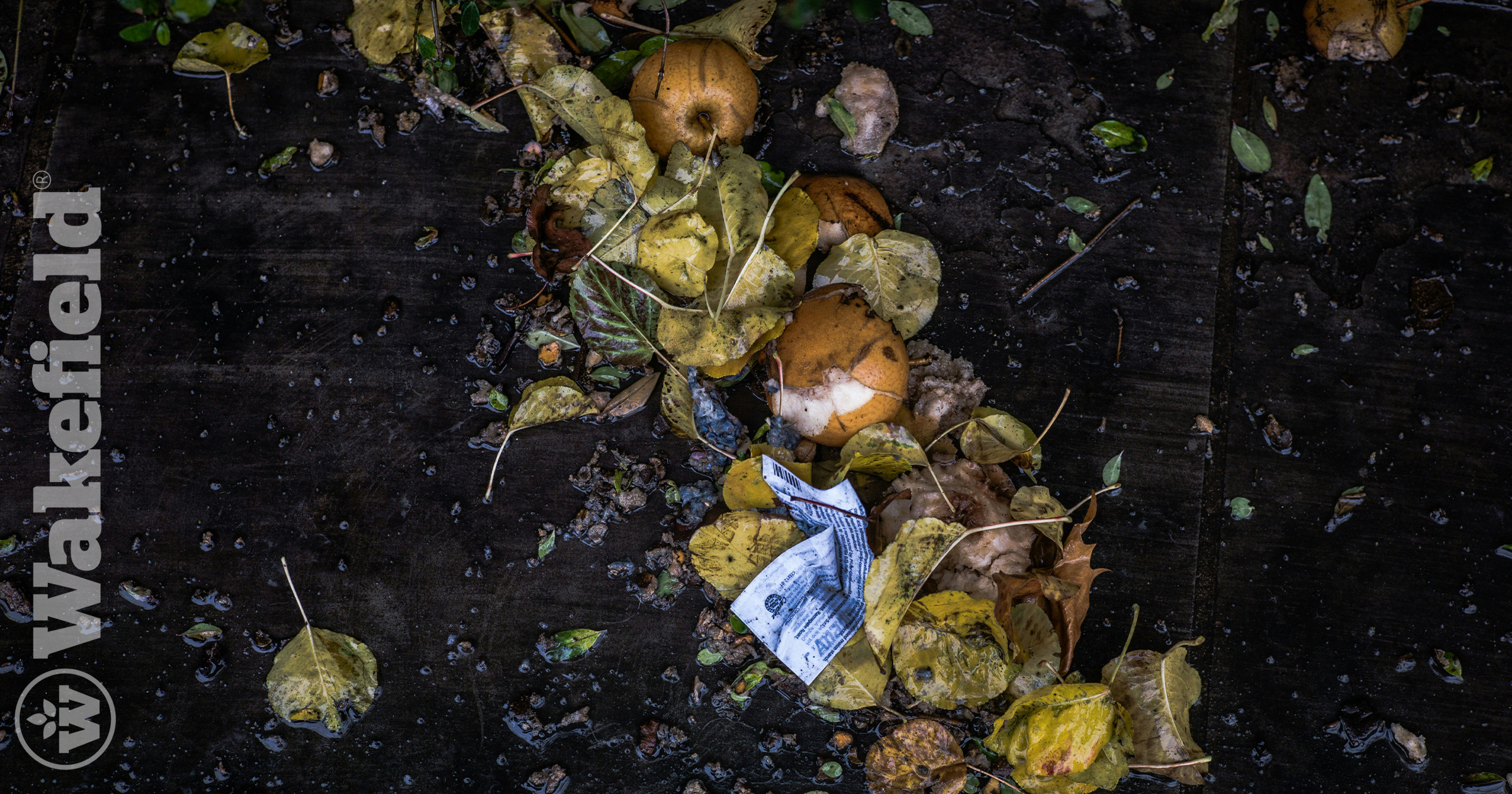 Composting With Biochar In Your Garden