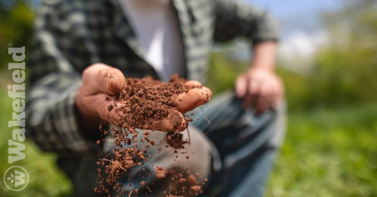 How Often Should You Use Biochar