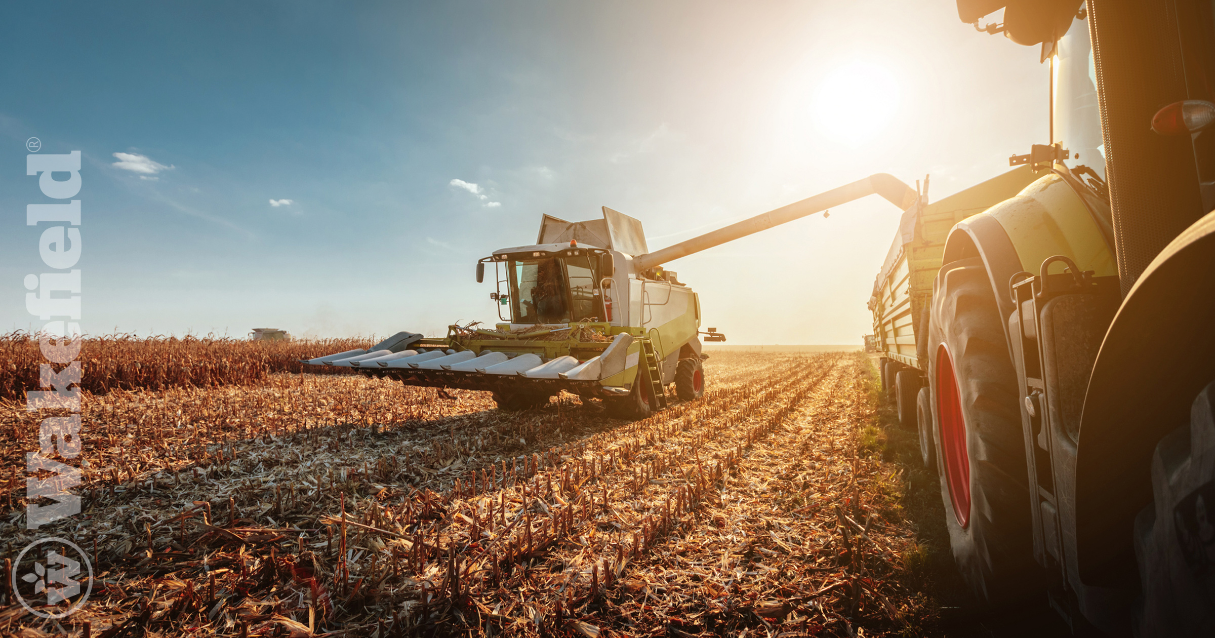 The Fall Growing Season Is Over What Do You Do Now
