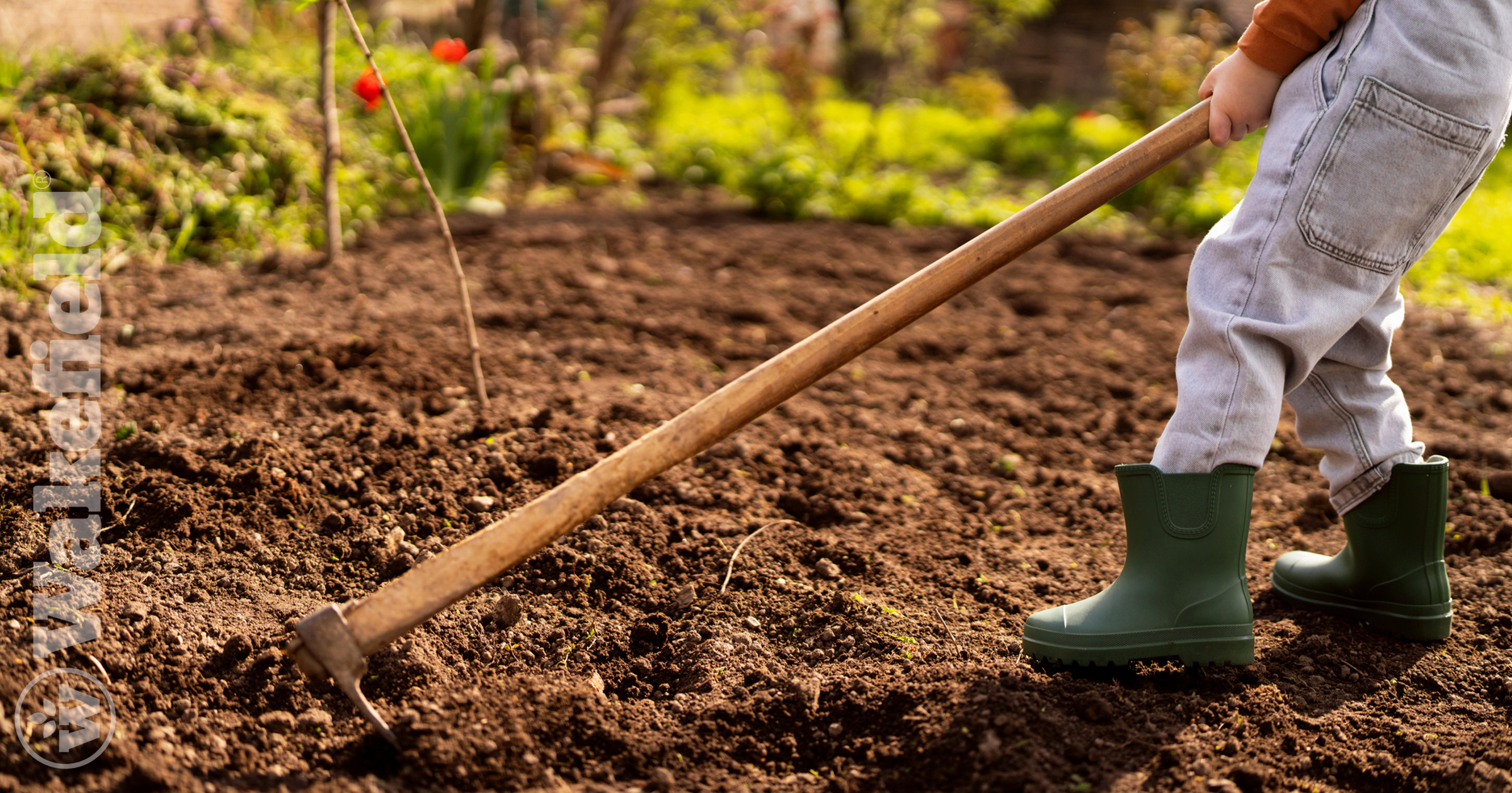 Joining Forces With The United States Biochar Coalition