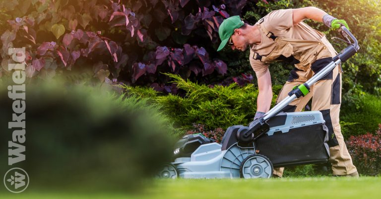 How To Make The Most Of Your Soil