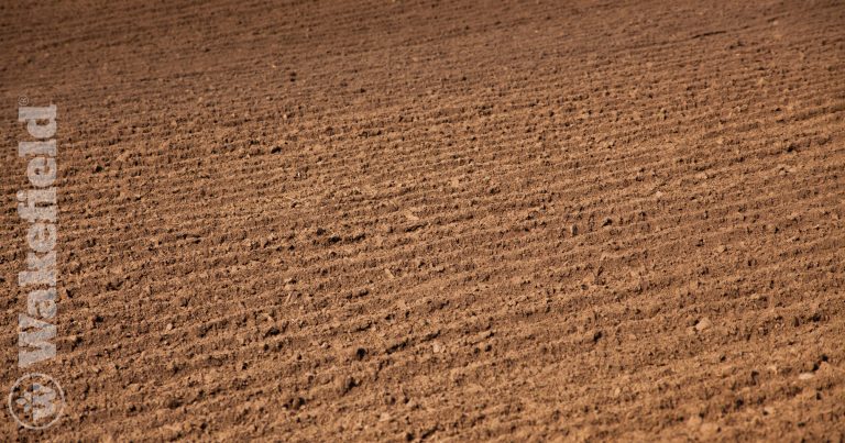 Loamy Soil Conditions