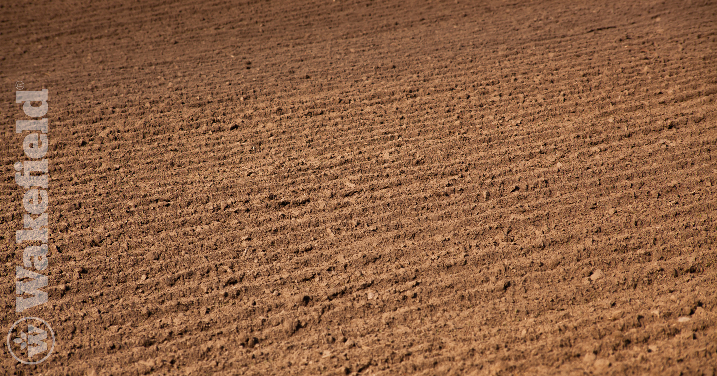 Loamy Soil Conditions