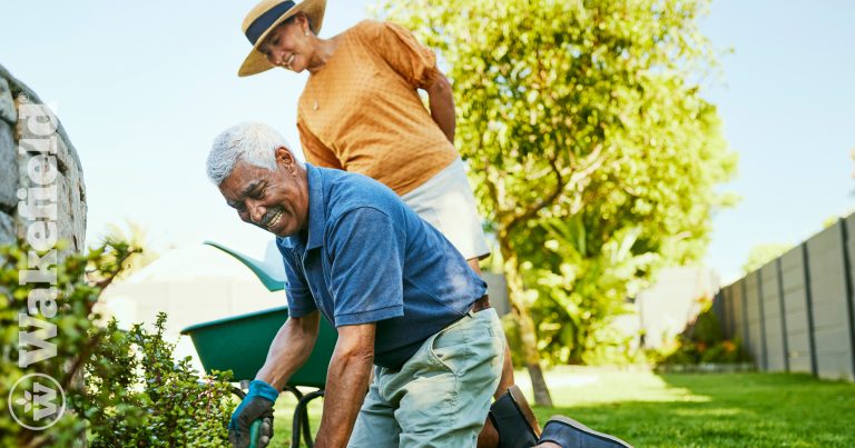 Midsummer Garden Tips Rejuvenate Your Garden With Biochar