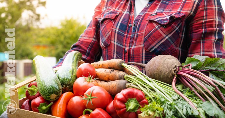 How Biochar Improves Organic Matter